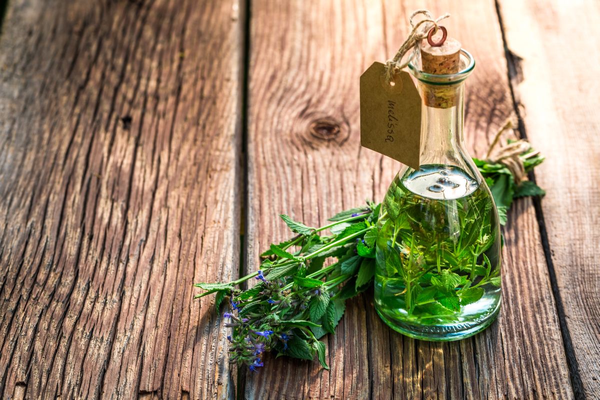 Maceráty u aromaterapeutických olejů